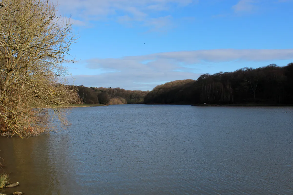 Waterloo Lake in Roundhay Park, Leeds