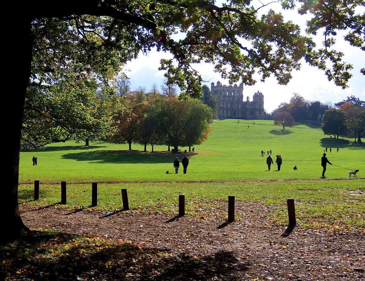 Wollaton Hall and the deer park in Nottingham